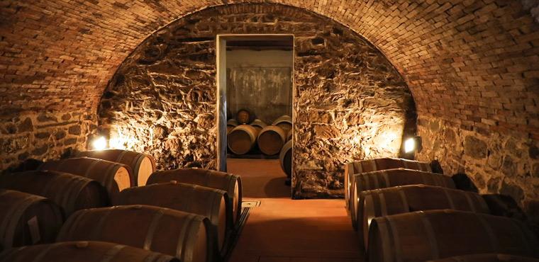 San Gimignano and private wine dinner in a barrique cellar